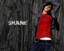 The L Word Shane : personnage de la srie 