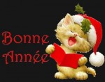 2010-12-31 10-37-00